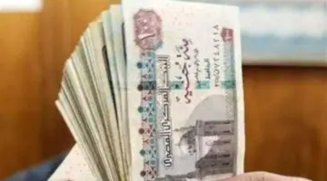 شروط الهيئة القومية للتأمينات الجديدة للحصول على زيادة المعاش في شهر أبريل